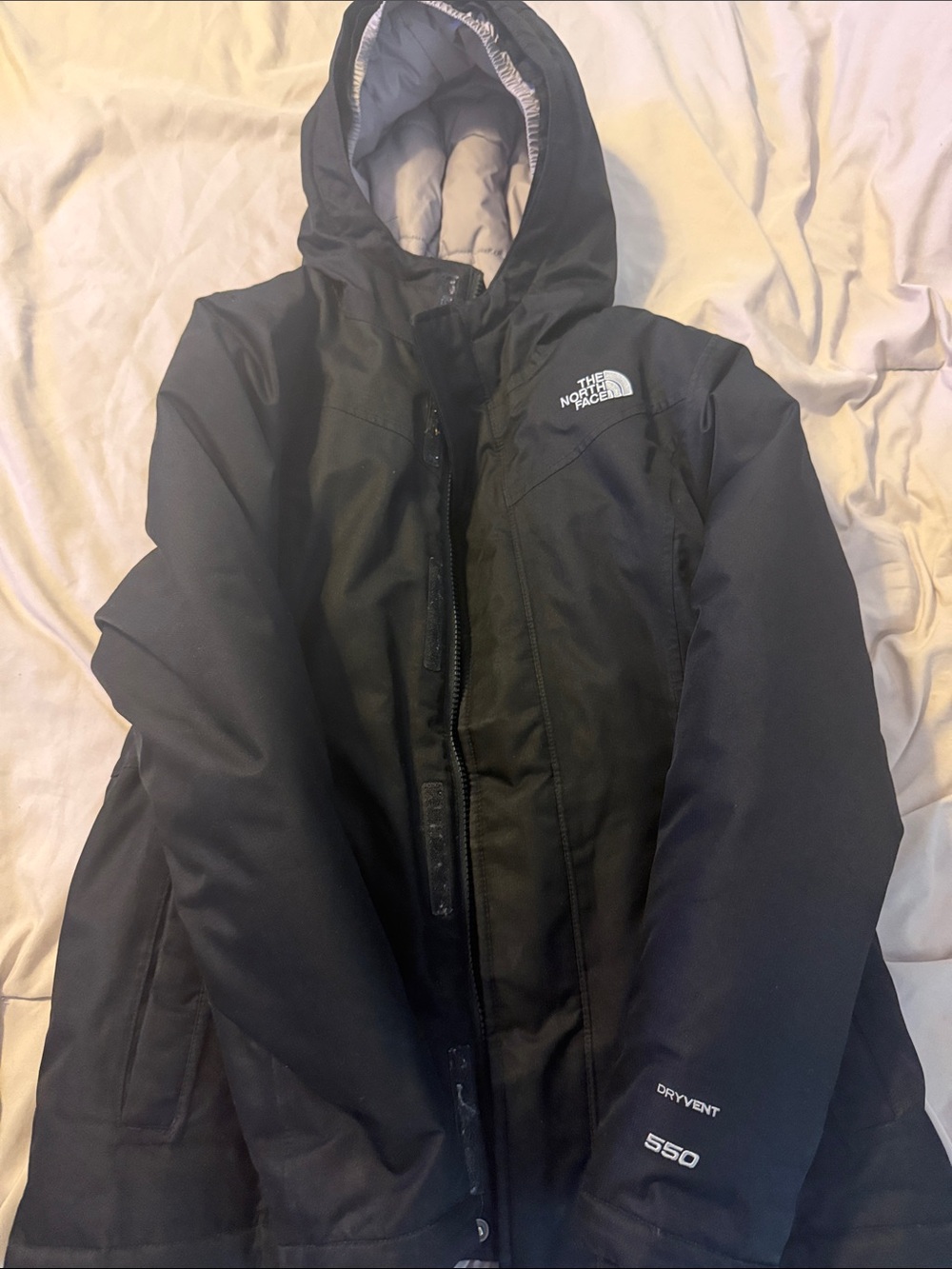 The North Face Black Hooded DryVent 550 Insulated Puffer Jacket